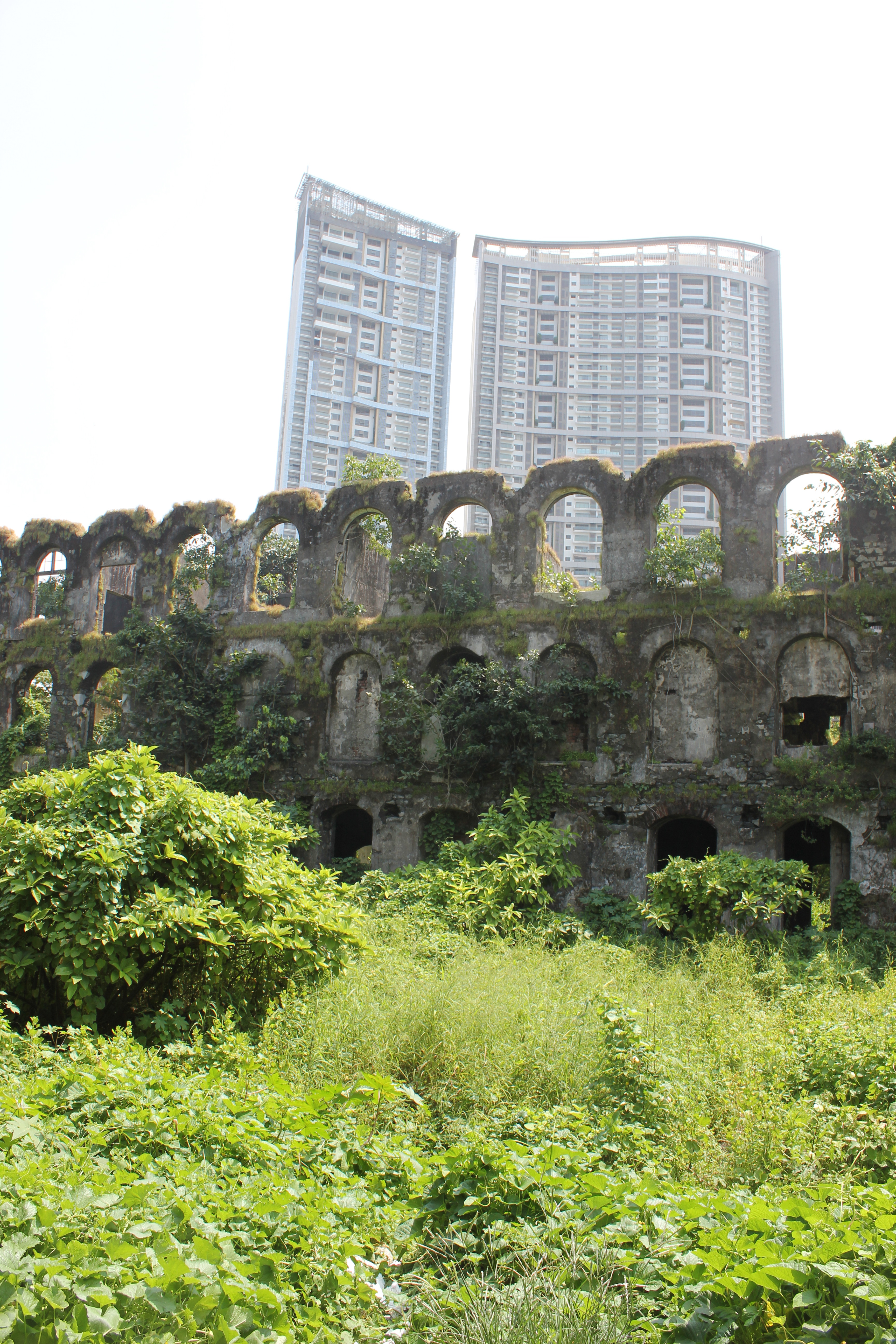 first cotton mill in bombay